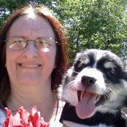 ROXANNAMCCOLLOM's profile picture. 