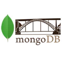 mongoDB Oporto Profile