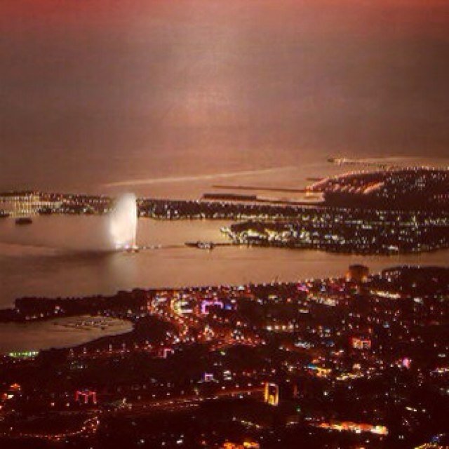 T11Ttt's profile picture. 