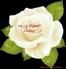 هكذا رقم هاتفي من يرغب اﻻتصال الدردشه. أو الوات ساب ..009647509706410