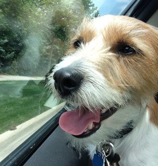 Jzablocki's profile picture. 