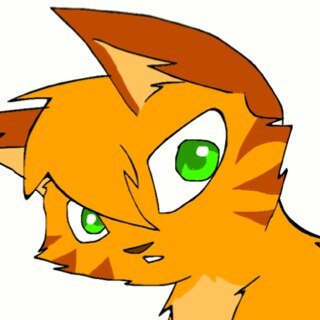 Arrow_Kitty's profile picture. All orange male cat with green/Orange eyes, and has many nightmares about Scourge killing me. kitten! Owner:@Cookie_pup. I don't talk much.