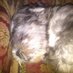 cathy smith-burdette (@burdette98) Twitter profile photo cathy smith-burdette (@burdette98) Twitter profile photo