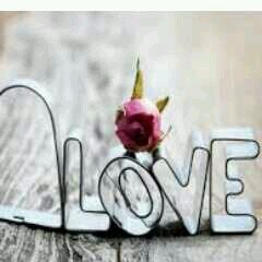 Hockey lovin' country gal from down south! Love ya'll ♡