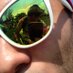 Nicholas Phillippi (@nphillippi) Twitter profile photo