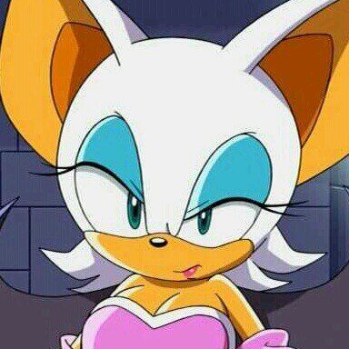 Hello darlings! Surely you've heard of me? Anyway, I'm Rouge. The best jewel hunter around!