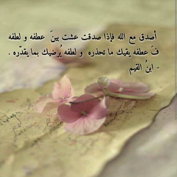 سر الصلاح .. في .. صلاح السر