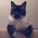 Kitty Jacobson - @KittyJacobson14 - Twitter