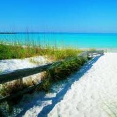 PanamaCityMedia's profile picture. #PanamaCityBeach #Florida #SocialMedia News Agency via Social News Corp.™ ★ Eco-Beach ★ #PCB 2014 #PanamaCity #PCB #Florida
