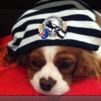 Rob Waters (@robwaters10) 's Twitter Profile Photo