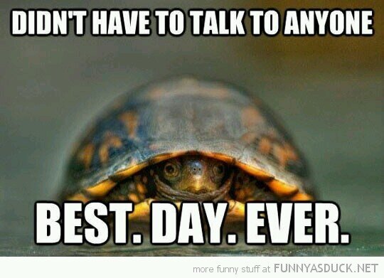 Timid_Turtle's profile picture. Your everyday neighborhood anti-social turtle
