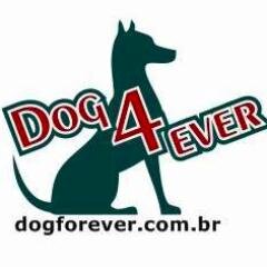 Consultor ISO 14000 e ISO 9000