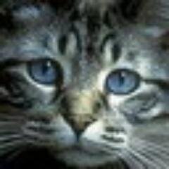 cialethbsa's profile picture. Он любит борщ... Воспользуемся этим.