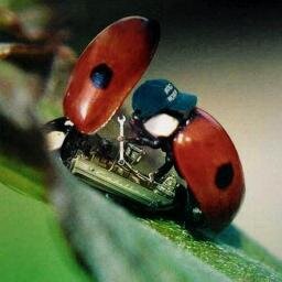 Full stack cybersecurity at https://t.co/kelHt32KBW and #bugbounty @hackrfi . Occasional medievalist. Tweets EN & FI. She/her. Started to move to other platforms.
