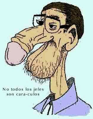 Ando loco