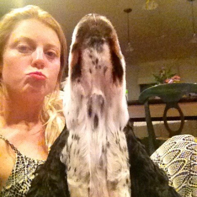 WilleyCW's profile picture. 