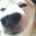 やま (@0516M25) Twitter