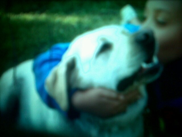 jaimyp1305's profile picture. There's a lot to say. Too much for 160 characters.3-|