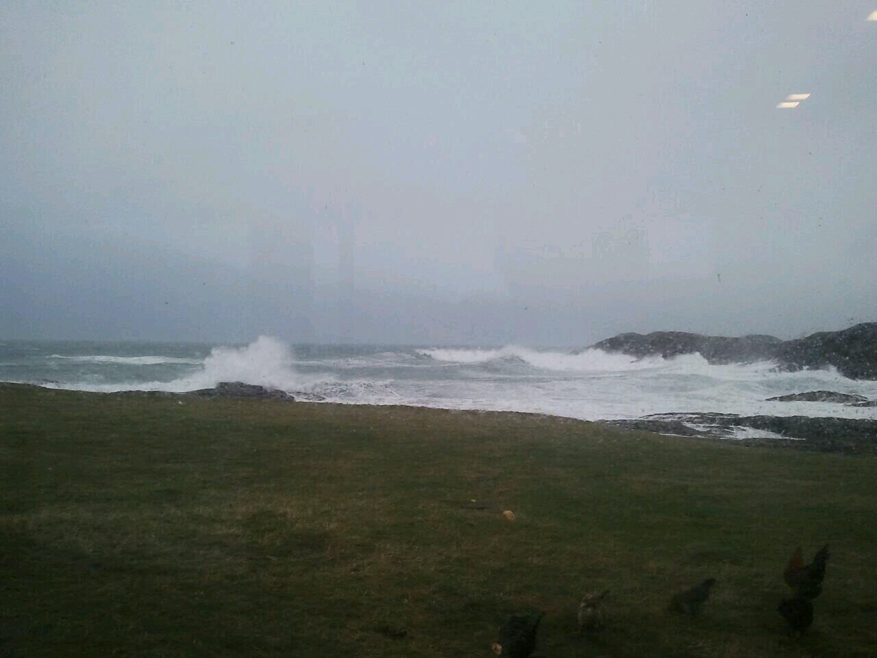 grishipol's profile picture. Farming and renewables in the Hebrides