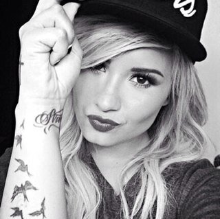 I love Justin Bieber my dream is to meet him NEVER SAY NEVER. Demi Lovato is AMAZING STAY STRONG !!! my dream is to see her in concert. I follow back :)