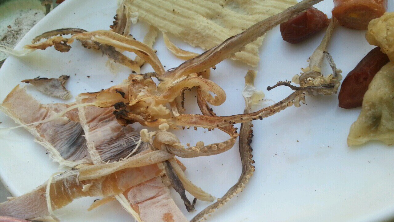 shy5966's profile picture. 