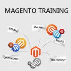 Magneto Training Academy considers that training a fresher 19s and make them ready for market in very short time. (http://t.co/nKoKfbJn4i)