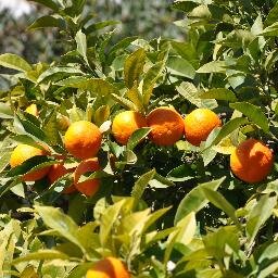 zBarcelony's profile picture. Barcelona, Hiszpania i Reszta Świata – Podróże i Lifestyle