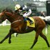 Horseracingguru (@horseracinggur1) Twitter profile photo
