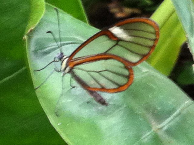 JumanaMN's profile picture. Videographer, Filmmaker, Script Supervisor, News Junkie, Tea addict