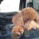 TOMO (@0512tomoyu) Twitter