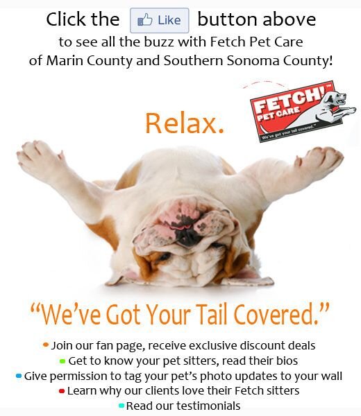 Fetch! Pet Care is the largest and most trusted pet sitting service in the country.