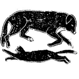 lottiefarmer7's profile picture. lllustrator and fan of cardigans