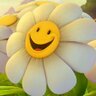 Y_BePositive's profile picture. A Human being - انسان
