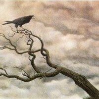 Raven_AB (@raven_ab) 's Twitter Profile