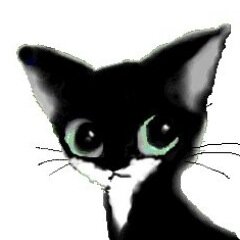 かわいい仔猫ですよ。