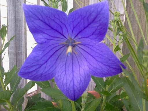 sluggo5869's profile picture. 