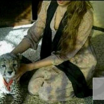 bant_m55's profile picture. افتخر إني اماراتيه عشت في عهد أبونا زايد-الله يرحمه- وأعيش بعهد والدنا خليفه -الله يحفظه-ويحفظ كل اخوانه الحكام وكل شعب الإمارات