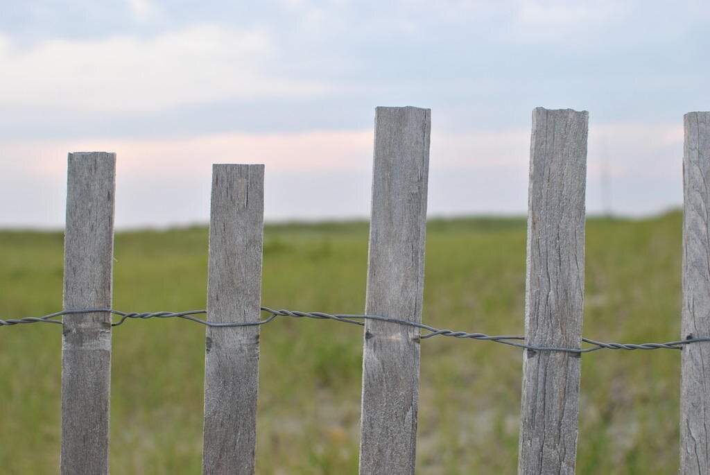 Cape Cod and Boston, MA Photographer