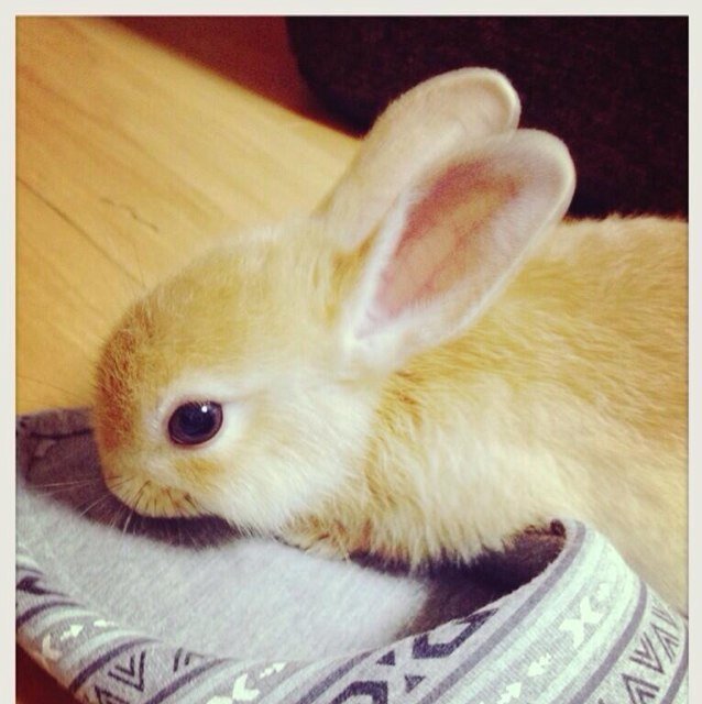 PStd8's profile picture. 社会人！