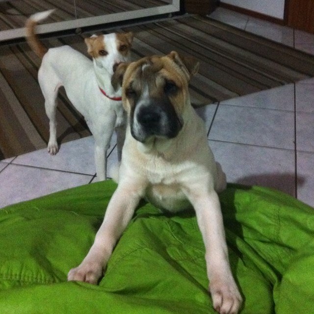 @Sou TIM BETA