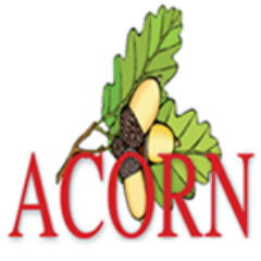 Acorn Community News from Hyndburn for the people of Hyndburn. Online and monthly magazine.