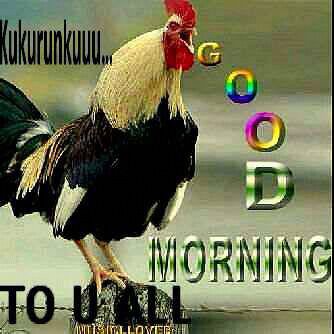 Gentle and simple to every body. BB pin 22F95DC1
