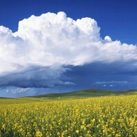 yasu (@yasu178504) 's Twitter Profile