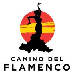 30 years in Flamenco - the last 10 spent running Camino del Flamenco & sister company Camino Holidays.  It's a frilly world, but someone's got to do it.......