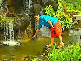 renedomegson's profile picture. 