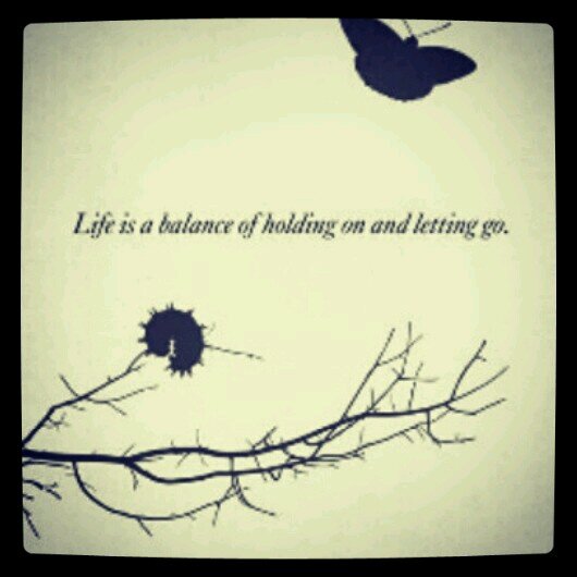 hhhhhdswsg's profile picture. 