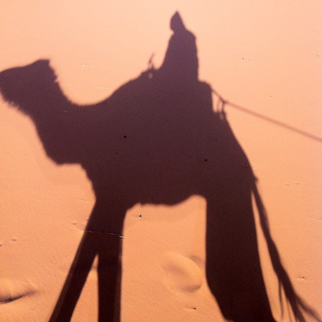 semiNomadicRob's profile picture. 