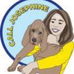 jylisowski's profile picture. call josephine pet sitting services offers doggie daycare, boarding, adventure hikes, beach field trips, & leash walks,  all in a social and safe setting!