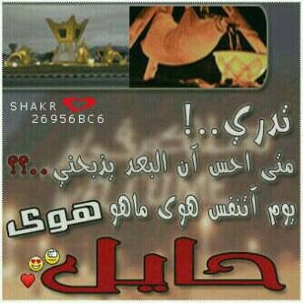 11Satsam's profile picture. 