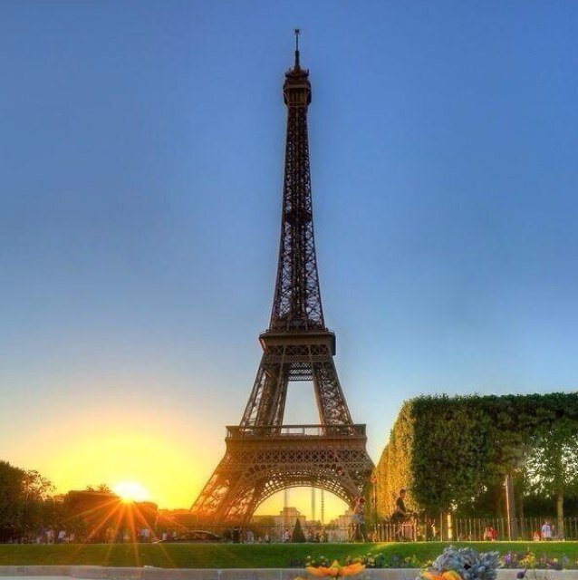 cataoi's profile picture. none